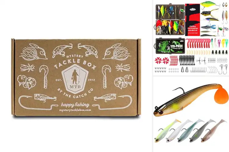 Detailed view of Best Bass Fishing Lures