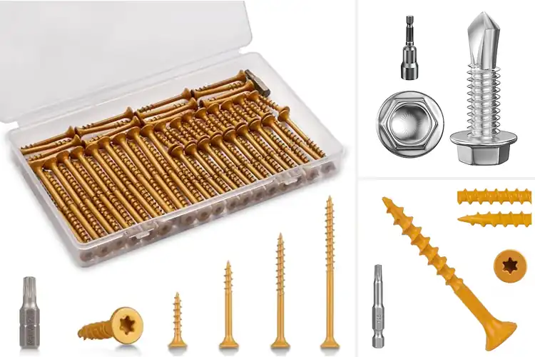 Detailed view of Best Corrosion Resistant Screws