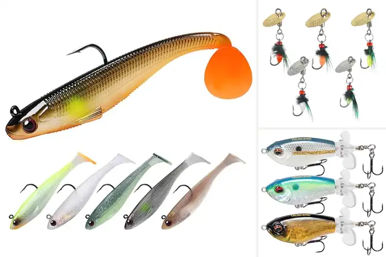 Detailed view of Best Lures For Suspended Fish