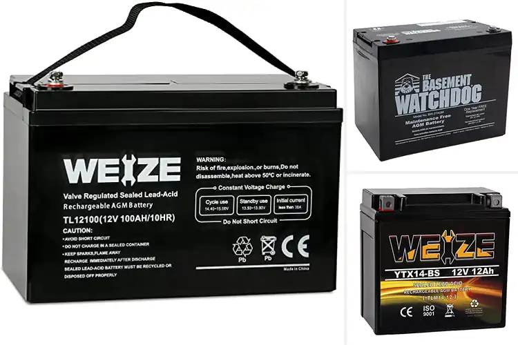Detailed view of Best Maintenance Free Batteries