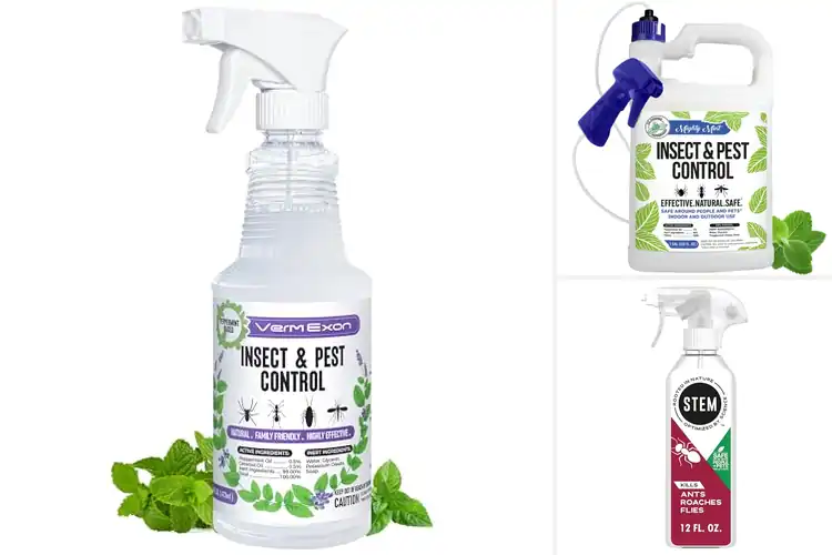 Detailed view of Best Natural Bug Killers