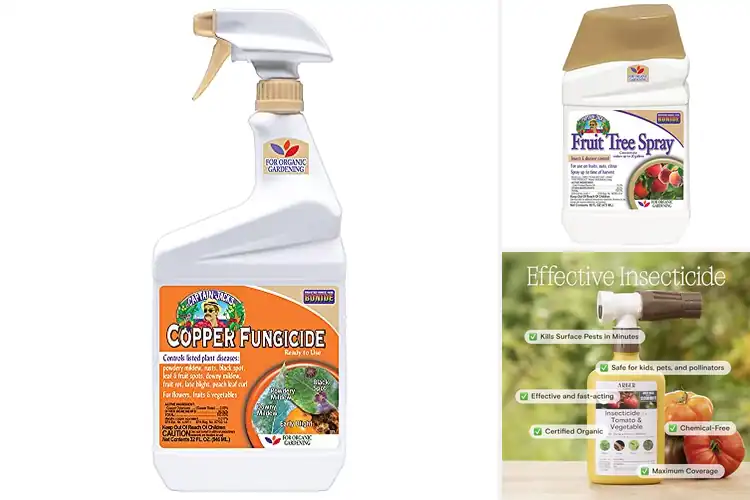 Detailed view of Best Organic Farming Sprays for a Thriving Garden