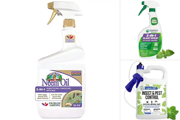 Detailed view of Best Organic Pest Sprays: Top 10 Picks for a Healthy Garden